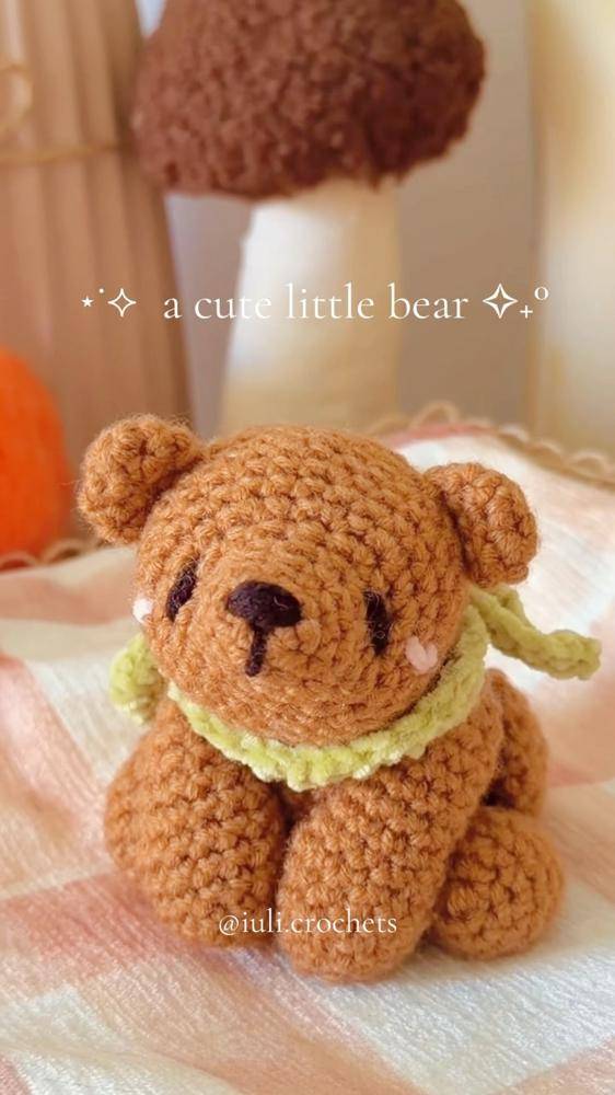 Amigurumi Teddy Bear with Scarf Project