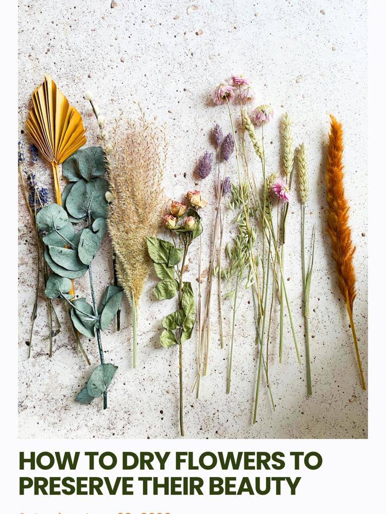 Beautifully Dried Flower Arrangement Collection