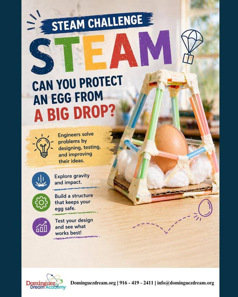 Creative Egg Drop Challenge Structure