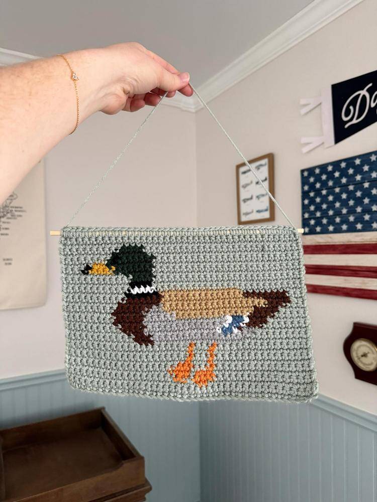 Crocheted Duck Tapestry Wall Hanging Project