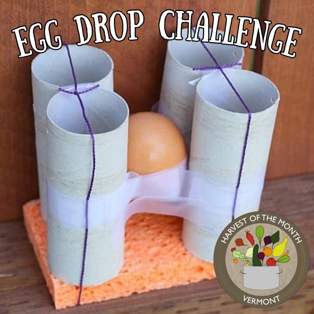DIY Egg Drop Challenge Container Project