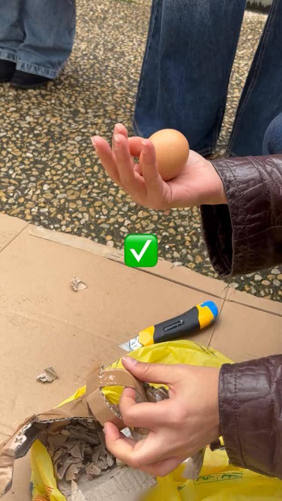 DIY Egg Drop Challenge Protective Container