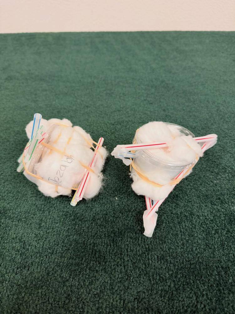 DIY Recycled Egg Drop Challenge Pods