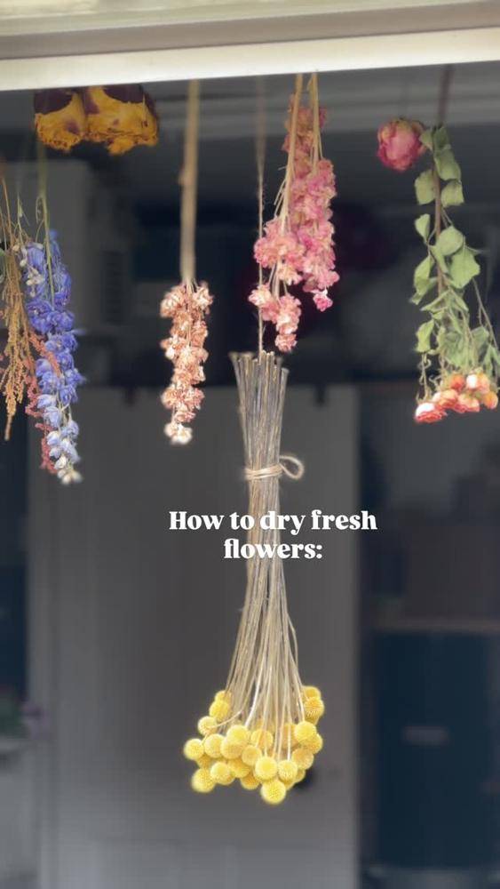 Drying Fresh Flowers by Hanging Method
