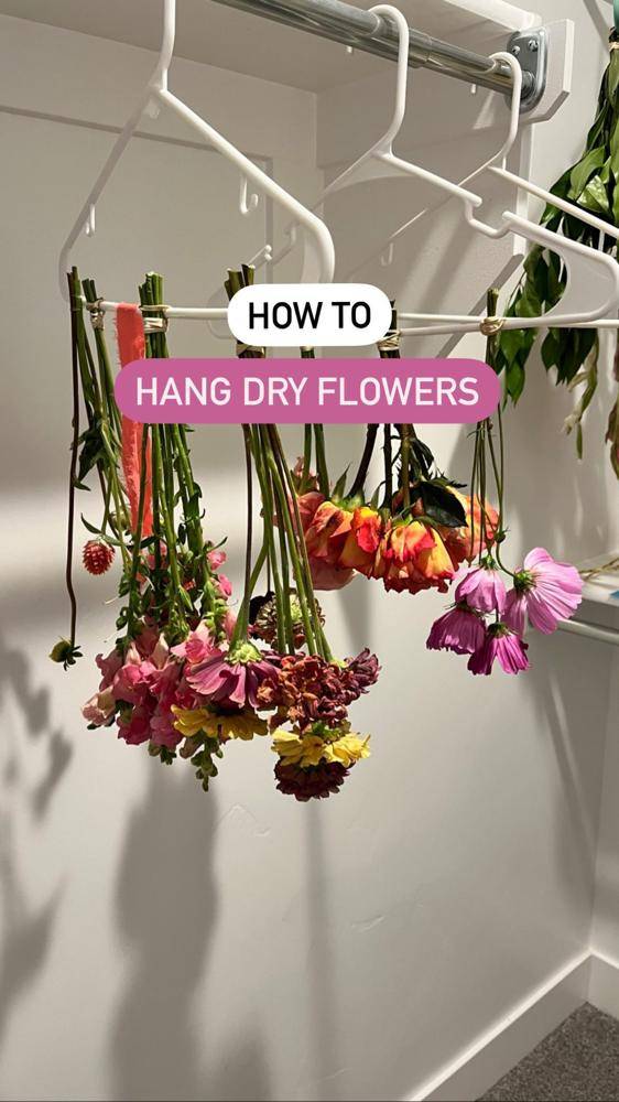 Hanging Flowers to Dry for Preservation