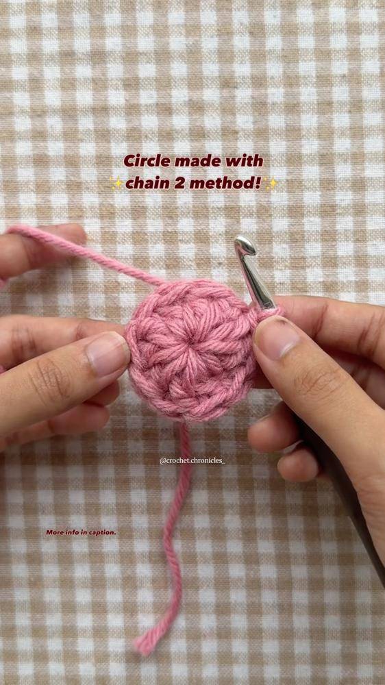 Pink Crochet Circle Project