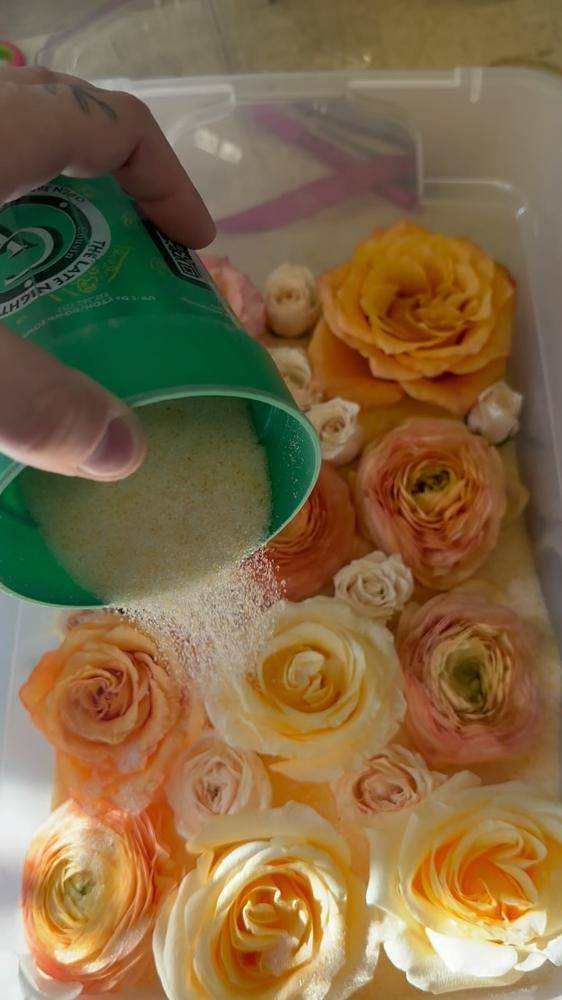 Preserving Delicate Blooms in Silica Gel