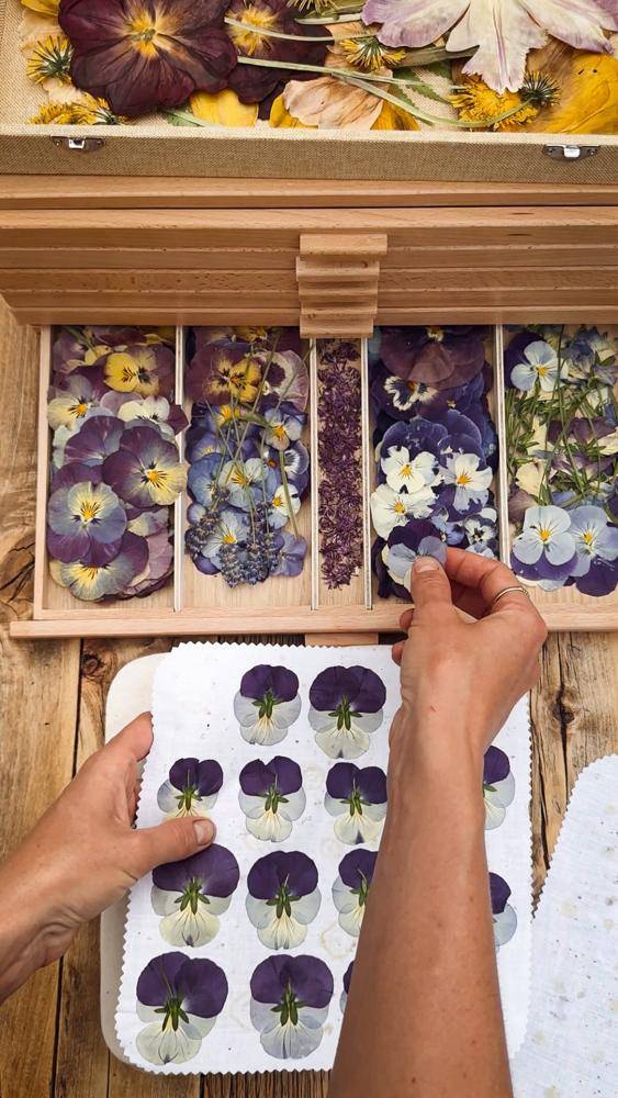 Preserving Pansies: A Step-by-Step Floral Craft