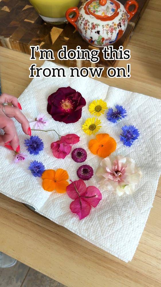 Simple Flower Pressing and Drying Method