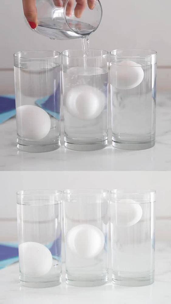 The Floating Egg Science Experiment